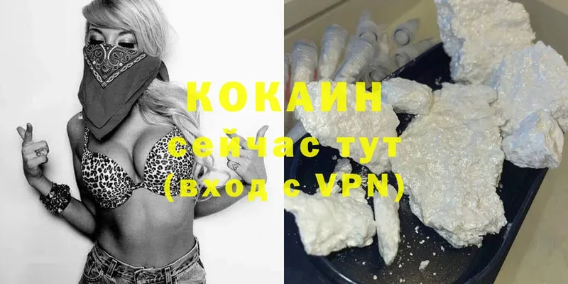 Cocaine Fish Scale  где продают   Нальчик 